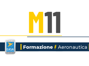 M11.png